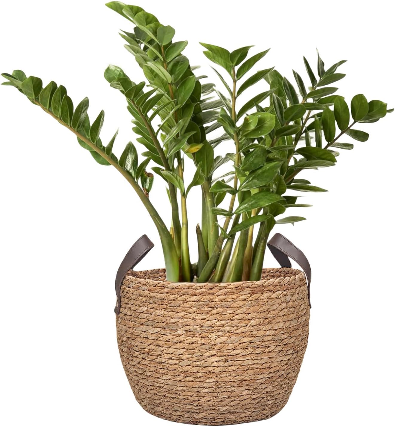 3 Pack Round Seagrass Storage Baskets