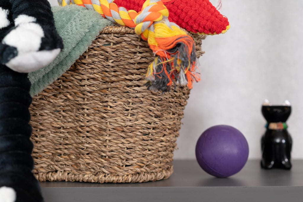 Bone Shaped Seagrass Pet Storage Basket