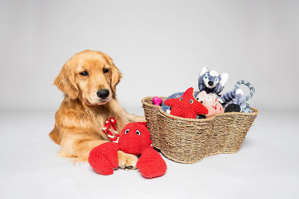 Bone Shaped Seagrass Pet Storage Basket